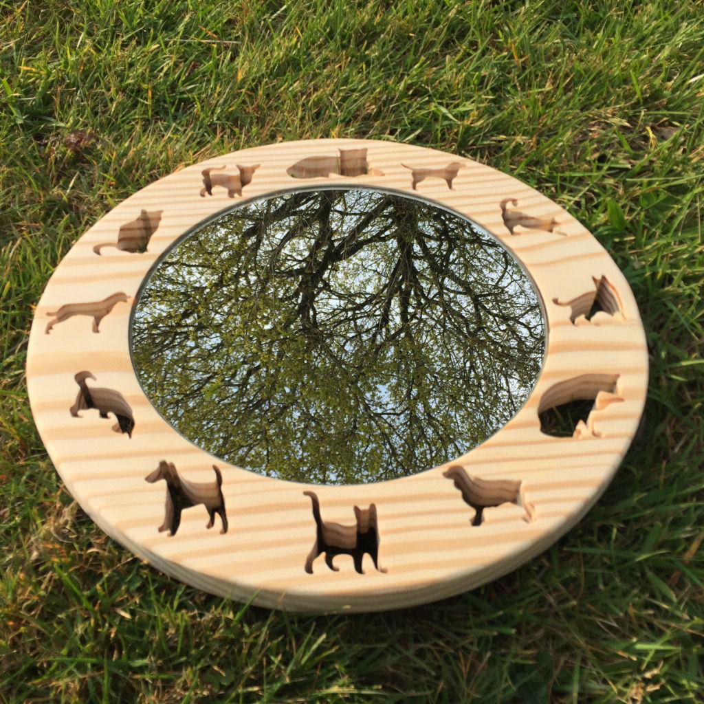 Miroirs : chats & chiens