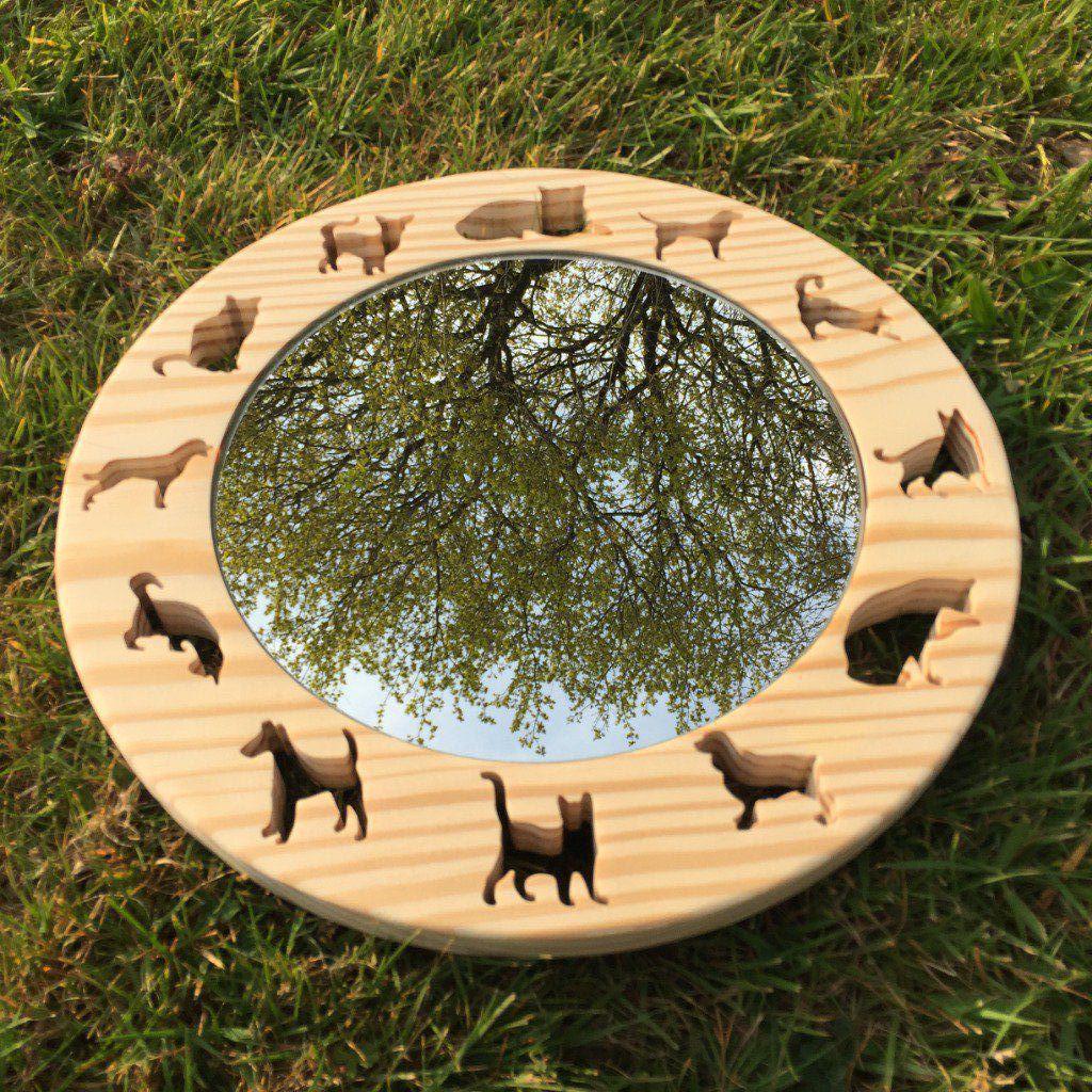 Miroirs : chats & chiens